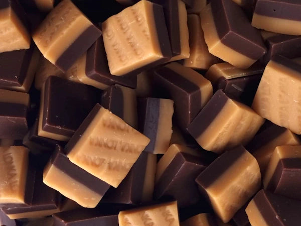 Vanille-chocolade fudge