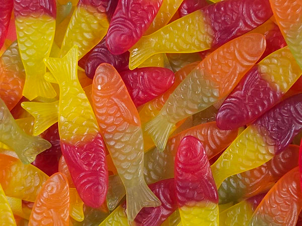 Winegum vissen